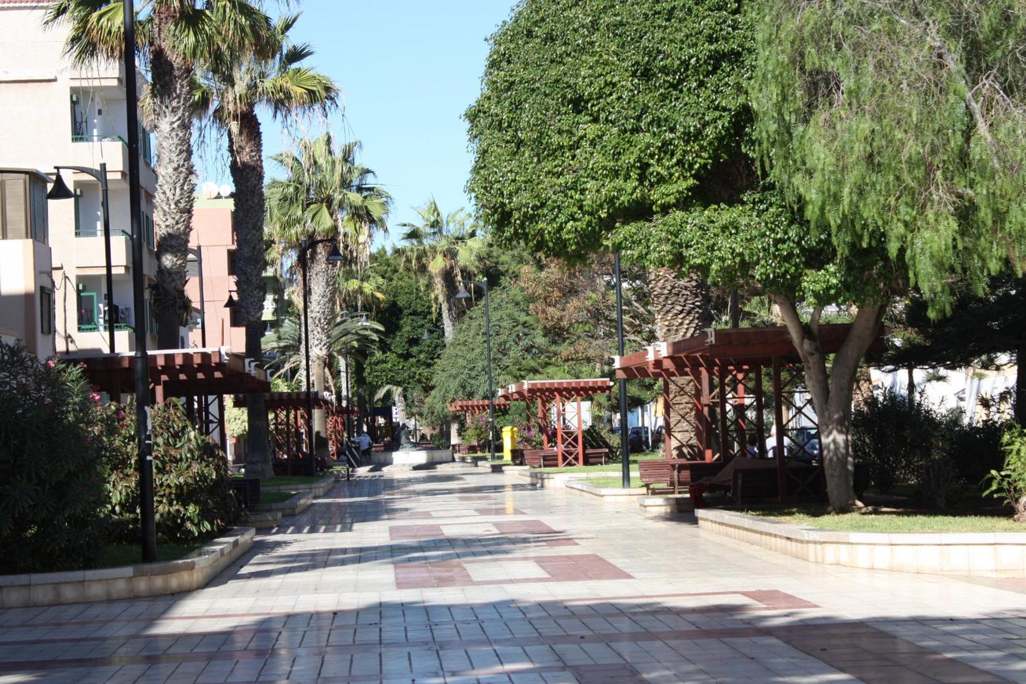 アロナPrimavera Tenerife Surアパートメント エクステリア 写真