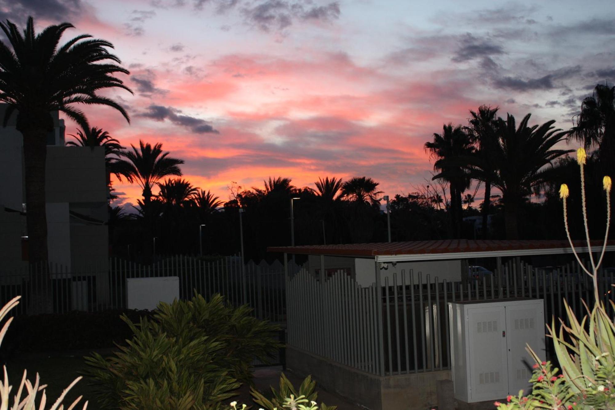 アロナPrimavera Tenerife Surアパートメント エクステリア 写真